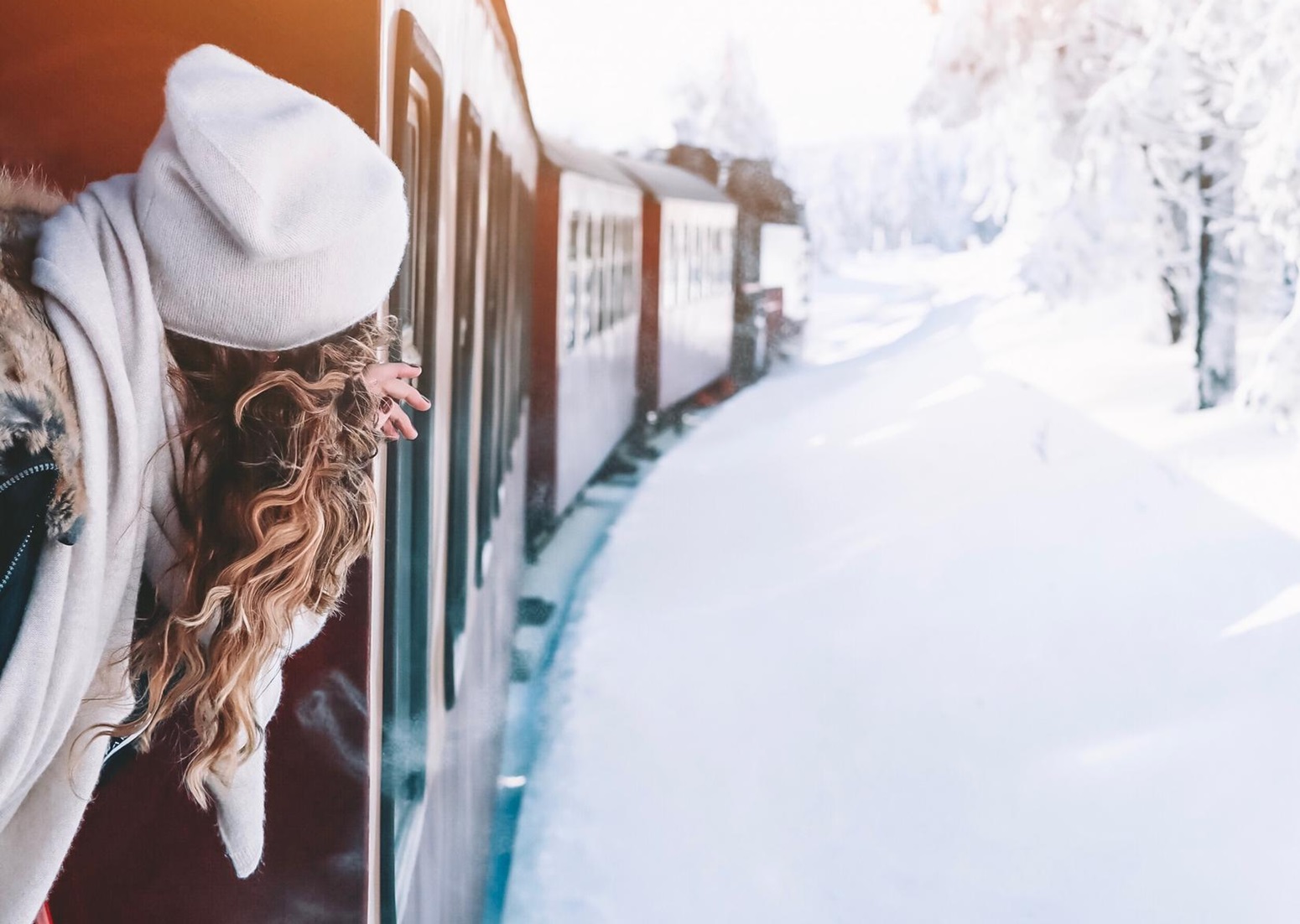 tren panortamico alaska